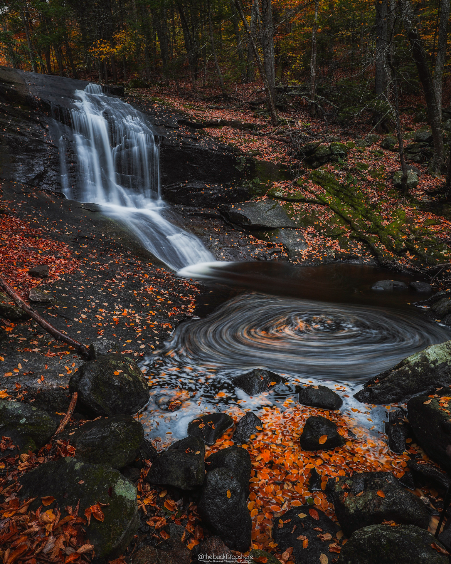 How to start a photography business by popular New England photographer, Shannon Shipman: image of a waterfall and red and orange leaves on the ground. 