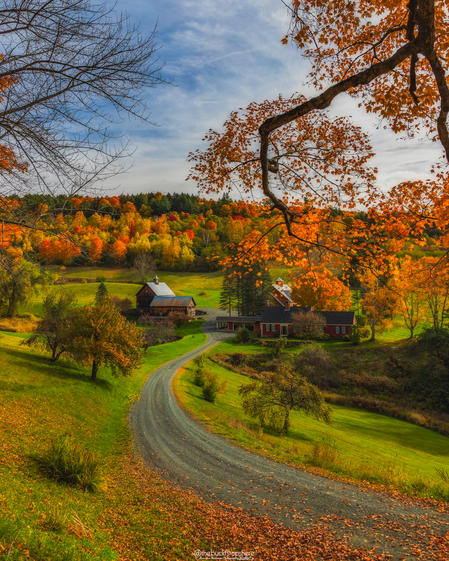 How to Set Realistic Expectations When Starting Out in Photography | How to start a photography business by popular New England photographer, Shannon Shipman: image of a New England farm surrounded trees with changing fall leaves. 