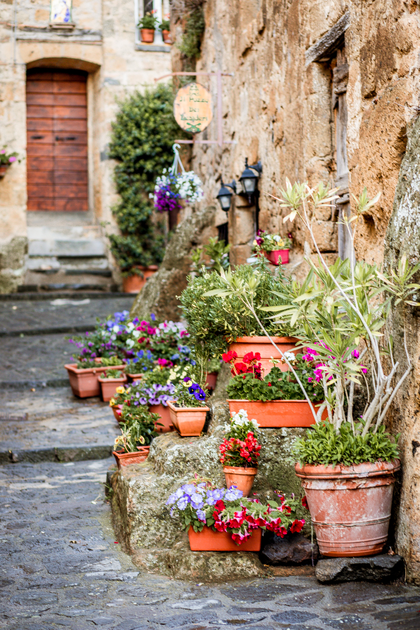 10 Gorgeous Views in Tuscany Italy | Tuscany Photos by popular New England travel blogger, Shannon Shipman: image of a stone step walkway in Tuscany, Italy with terra cotta planters filled with flowers. 