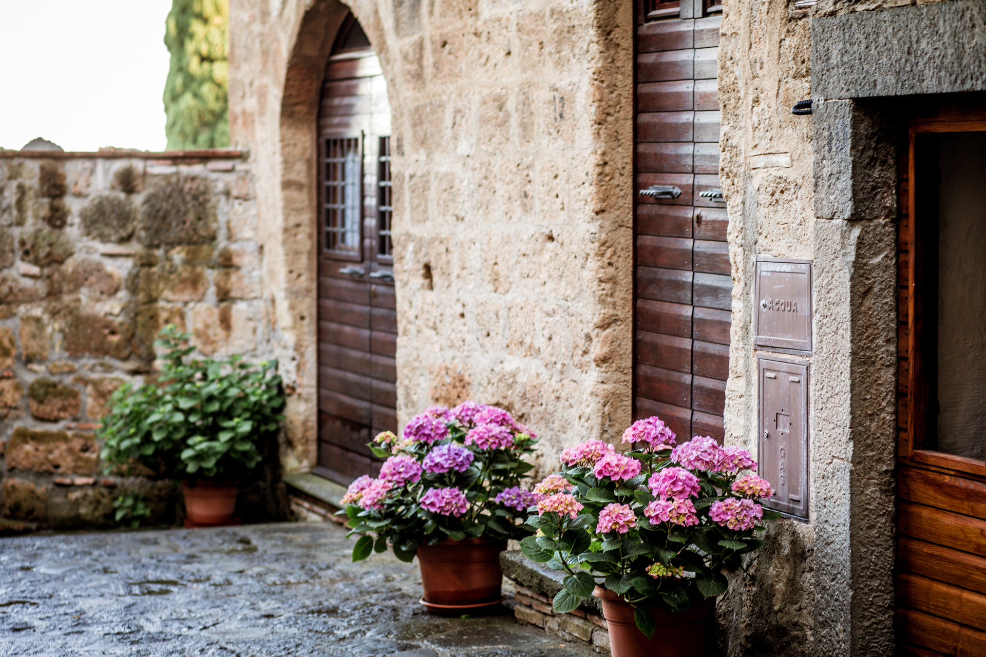 Garden Inspiration: Garden Ideas From Tuscany | Tuscany Garden Ideas by popular New England travel blogger, Shannon Shipman: image of terracotta pots with pink flowers. 
