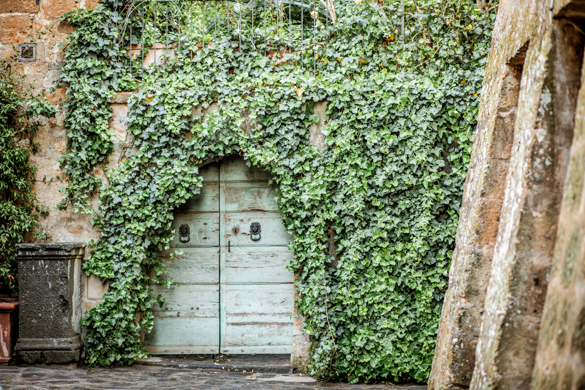Garden Inspiration: Garden Ideas From Tuscany | Tuscany Garden Ideas by popular New England travel blogger, Shannon Shipman: image of a door covered in ivy. 