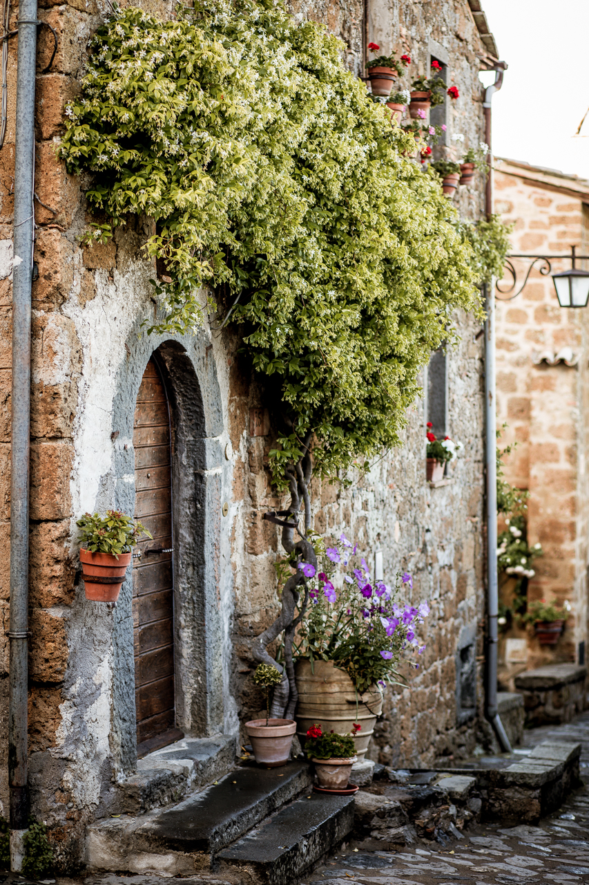 Tuscany Photos by popular New England travel blogger, Shannon Shipman: image of a stone building in Tuscany, Italy covered in ivy and line with terra cotta pots containing various flowers. 
