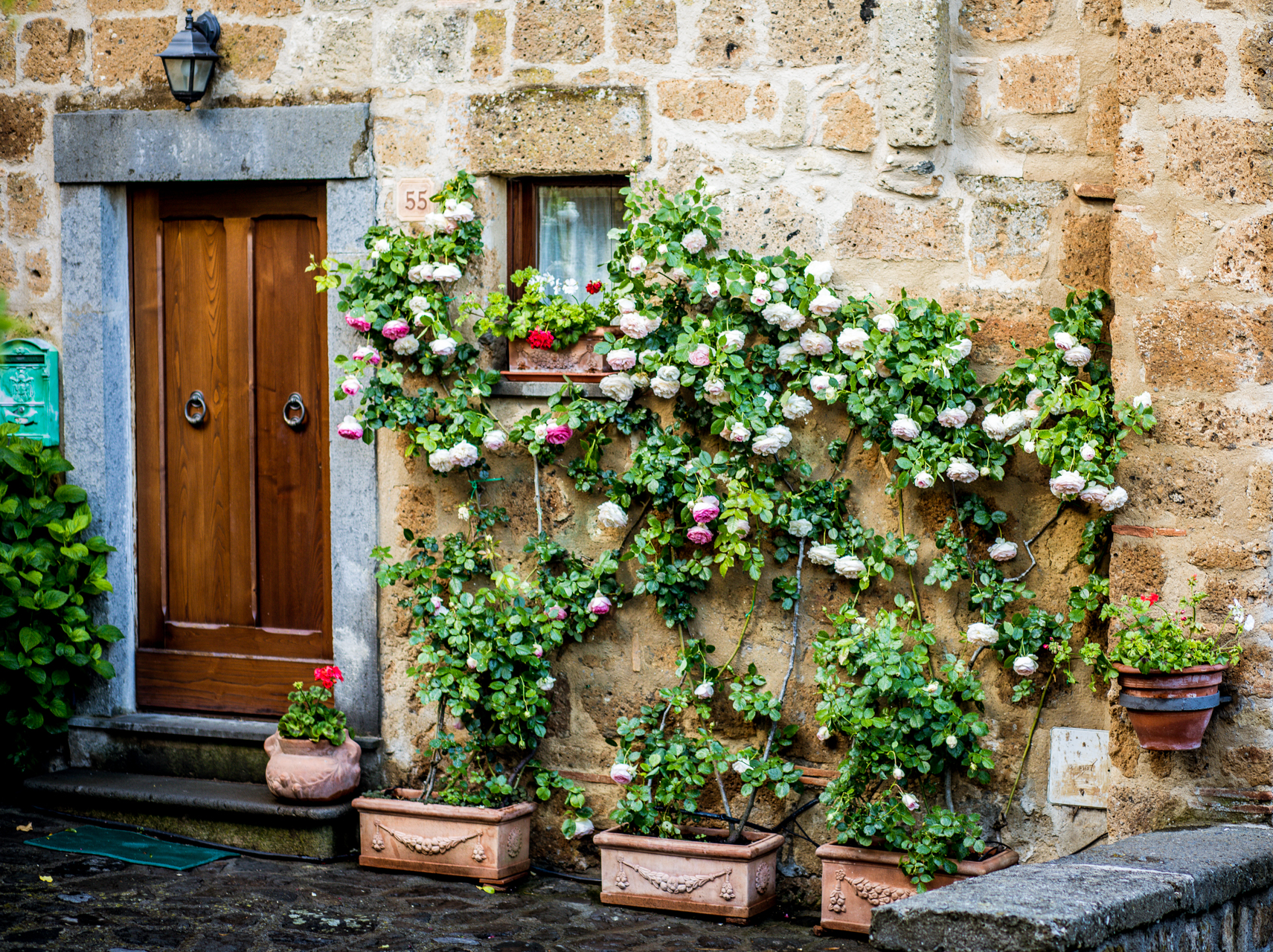 Garden Inspiration: Garden Ideas From Tuscany | Tuscany Garden Ideas by popular New England travel blogger, Shannon Shipman: image of pink roses growing up the side of a stone building. 