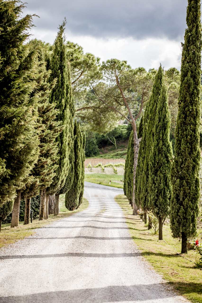 10 Gorgeous Views in Tuscany Italy | Tuscany Photos by popular New England travel blogger, Shannon Shipman: image of a gravel path lined with Cypress trees. 