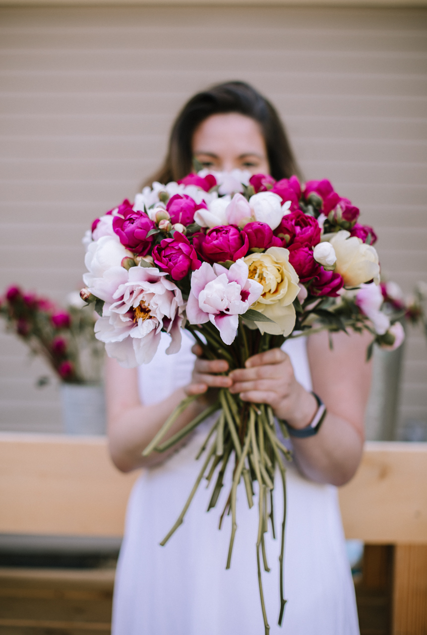 How to Harvest Peonies, and Make Them Last All Summer! | Caring for Peonies by popular New England blogger, Shannon Shipman: image of Shannon Shipman wearing a white dress and holding a bouquet of pink and white peonies. 
