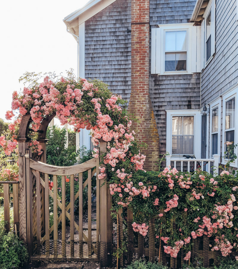 Cottage Garden Ideas | New England life and style | Shannon Shipman