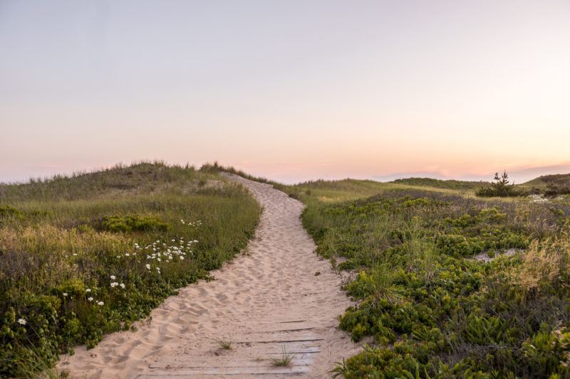 Beach Path Seaside Pocket Print by top New England travel blogger and photographer Shannon Shipman