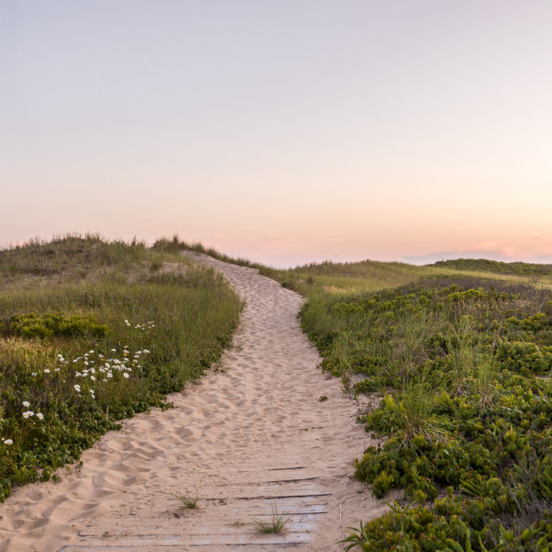 Beach Path Seaside Pocket Print by top New England travel blogger and photographer Shannon Shipman