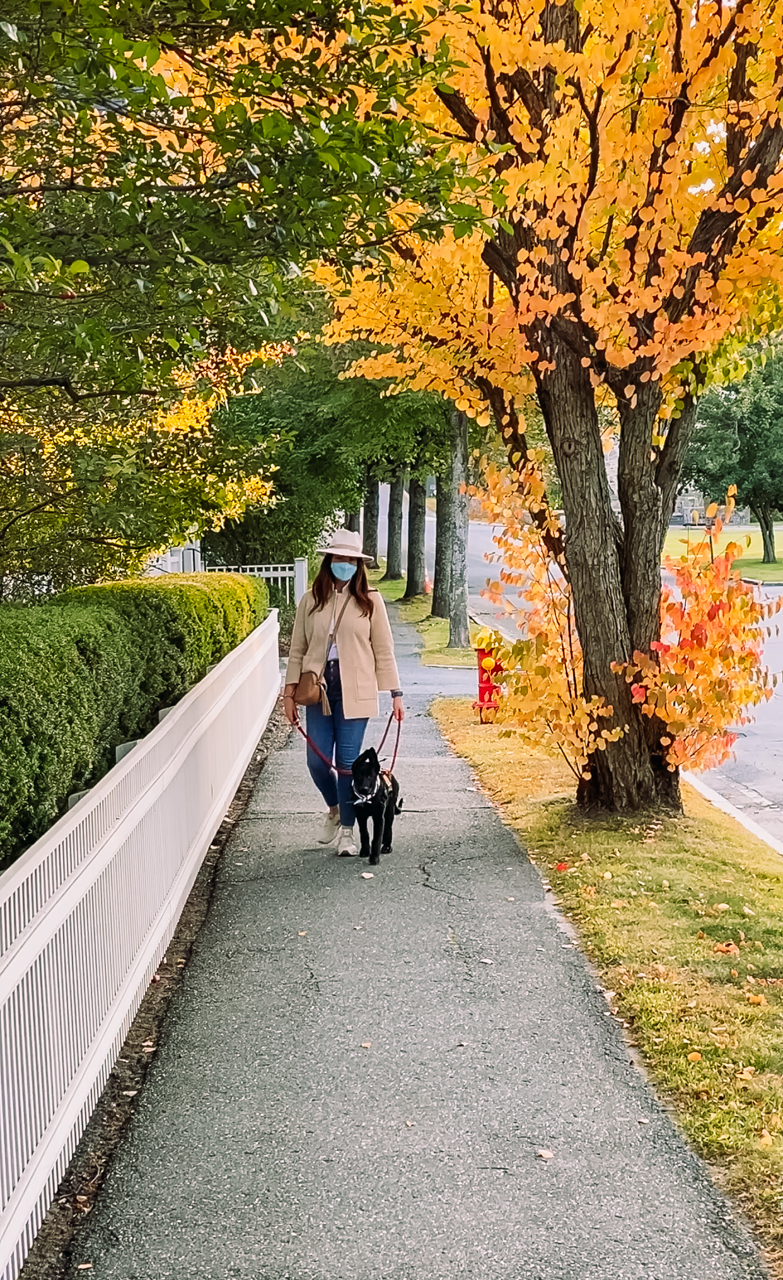 woodstock vermont |  Woodstock Inn by popular New England travel blogger, Shannon Shipman: image of a woman walking outside with her dog.